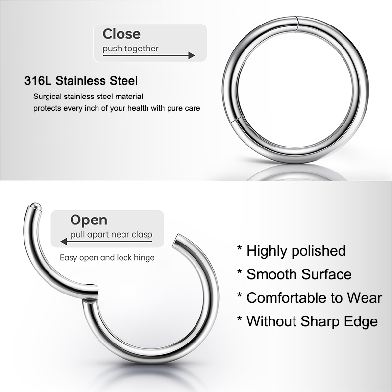 16G 316L Surgical Steel Hinged - Body Jewelry Earrings review and price