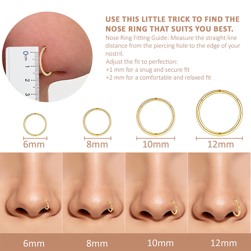 16G 316L Surgical Steel Hinged - Body Jewelry Earrings review and price