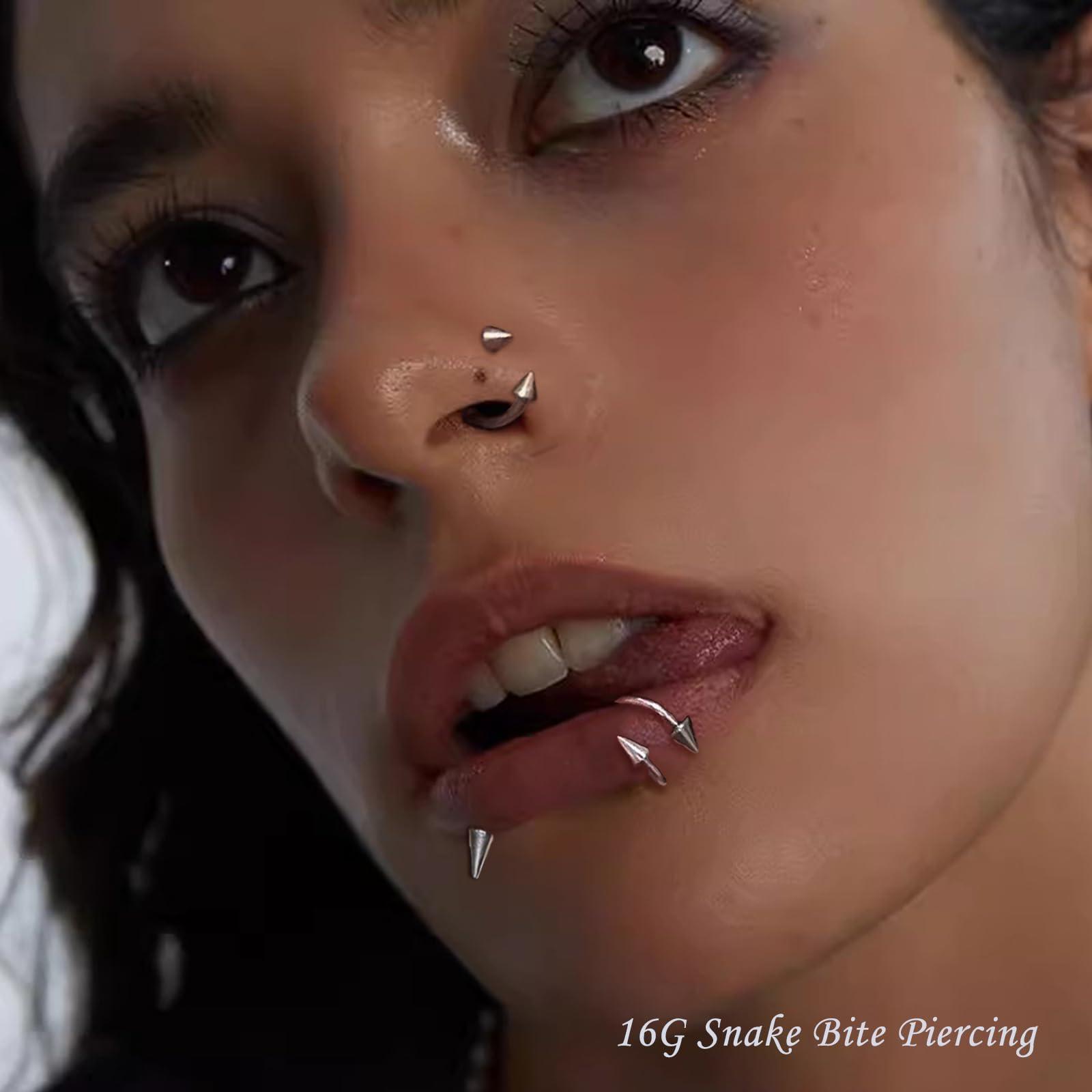34pcs/Set 16G Snake Bite Pierc - Body Jewelry Vertical Labret review and price