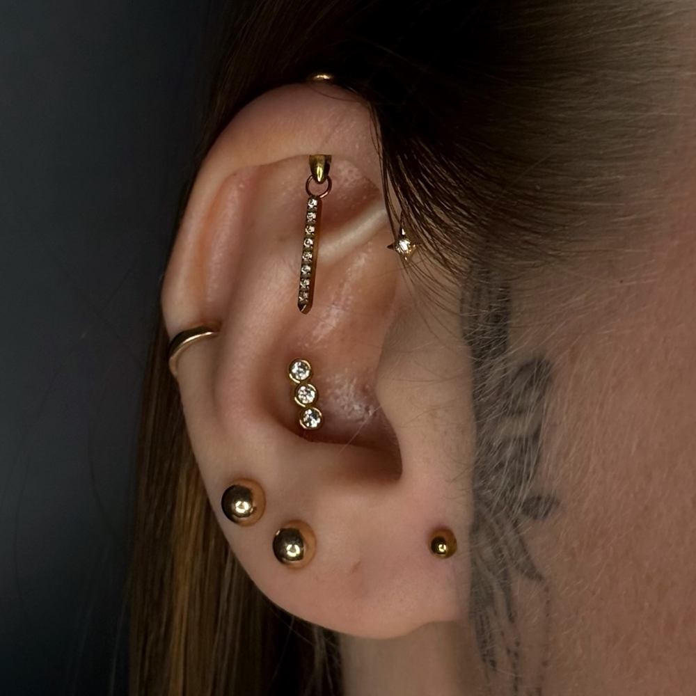 1PC G23 Titanium Hidden Vertic - Body Jewelry Vertical Labret review and price