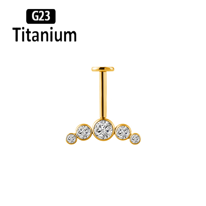 G23 Titanium Ear Piercing Inte - Body Jewelry Vertical Labret review and price